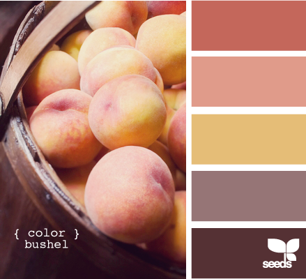 Color Inspiration #4 - Peach Color